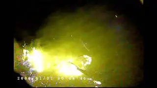 2023 Lookout Fire FBAT Plot 3