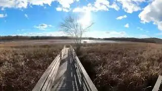 Great Meadows NWR Cross Dike Walk 11/4/25