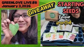 LIVESTREAM #8: All about Seed Starting for the GreenStalk