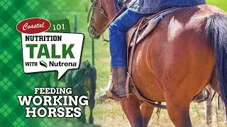 Coastal Nutrition Talk with Nutrena: Working Horses & SafeChoice