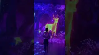 Melihat Rusa di Ruang ImersifA Museum Nasional