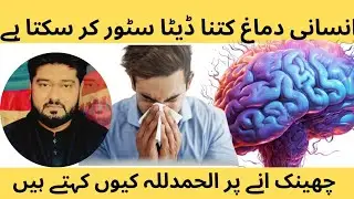 How Much Memory Human Brain Can Store & Why We Say Alhamdulillah After Sneezing