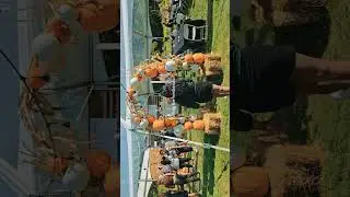 Pineridge hollow fall fair| Fall fair in manitoba 2025 🍁🍂