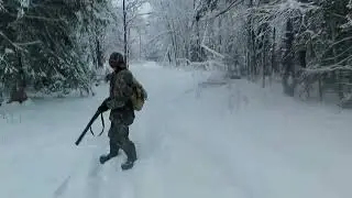 Погоняли зайчиков. Бушуй как всегда молодец. 26.12.25