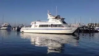 Condor Express Leaves SB