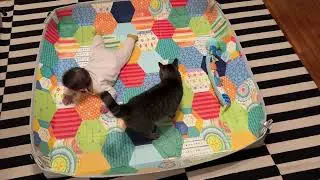Mason and Jaci playing in a playpen