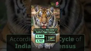 Increase in Tiger population is a great Success in Project Tiger | UPSC GS | Prachi ma'am