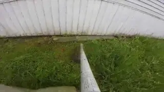 ECHO VS. Tall Wet Grass!  Echo 2620T !!
