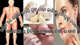 rasuna ra upakarita | garlic benefits odia | Odia Recipe | beauty tips odia | brana,health tips odia
