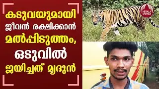 Mrithun fought a tiger to save life , family in fear of attack again | Thirunelly | Keralakaumudi