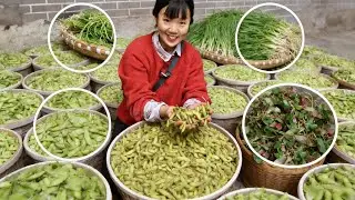 野菜婆婆的大批量野菜进入市场添欢乐，带50 斤野菜 200 斤毛豆来卖，没想到只有1 元一把的野葱不太好卖！！【燕麦行游】