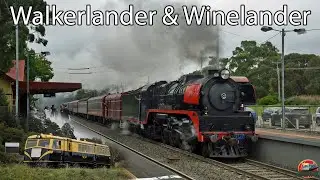 VR R Class & PN Diesel to Bendigo | 707 Operations - Walkerlander & Winelander | R707 & S306