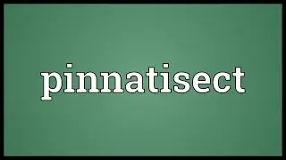 Pinnatisect Meaning