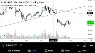 FLM Flamingo Coin Price Prediction & Crypto Technical Analysis