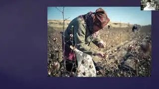 Justice Beyond Borders - Introduction to Transnational Litigation of the Global Legal Action Network