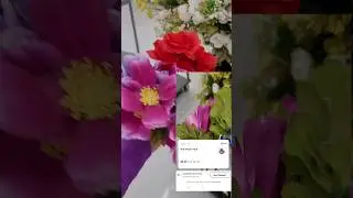 Hidden deals at Walmart #walmart #shortvideo #hidden #flowers #shopping shopp