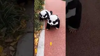 funny video #song #music 😂#love #dffoojp #😂gfvip #abubakar #cute 🤣#newmusic 😂#funnybab #baby