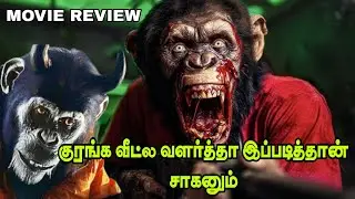 குரங்க வீட்ல வளர்த்தா இப்படித்தான் சாகுனும்