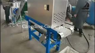 Garlic Peeling Machine#foodmachine 