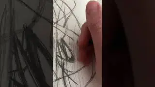 Scribble art challenge be like 😼