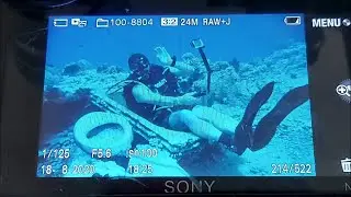 Египет.Красное море. Дайв-сайт Shark & Yolanda Reef 18.08.2020 год (часть2)