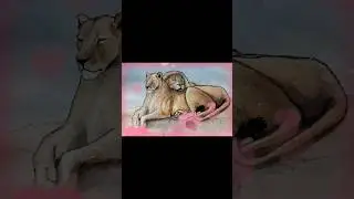 simple poster colour drawing of beautiful ❤️ lion couple