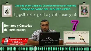 Codigo de canto Limpio : CANTADAS DE TERMINACION الدرس السابع من سلسلة شرح قانون التغريد لغة الكوبيا