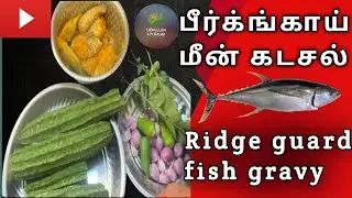 பீர்க்கங்காய் மீன்🐟 கடசல் How to cook Ridgeguard  gravy? மீன் lover-களுக்கு must try recipe! 😋