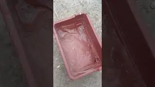 Birds water freez in cold weather