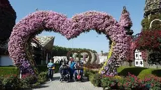 Dubai Miracle Garden 2017