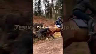 full speed galloping horse riding in forest #horseriding #galloping #viralvideo #womenhorseriding