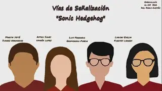 V&iacute;as de Se&ntilde;alizaci&oacute;n 