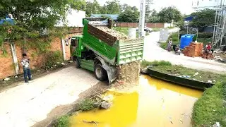 Complete the plan to pour rocks into the flooded area and reed plants