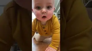 Baby Curiosity Turns Into Laughter #viral #trending #short