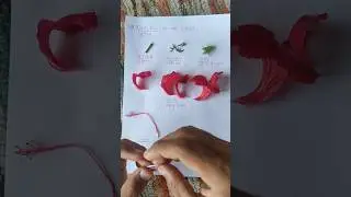China rose (गुड़हल) 🌺 | #shorts #practical #biology #viral #chinarose #ncert #class11biology #bio