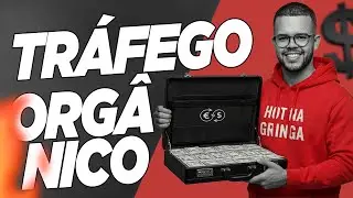 COMO FAZER TR&Aacute;FEGO ORG&Acirc;NICO NA GRINGA!