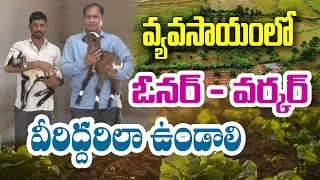 నిలువెత్తు డబ్బిచ్చినా పోడు‌ | వర్కర్ పై ఓనర్ నమ్మకం | Chittibabu