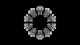 Reaction Diffusion Array