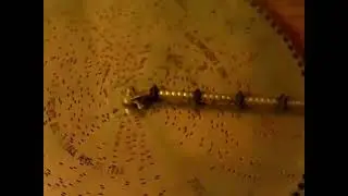 What a nice song-