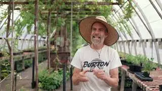REGENERATE GREY BRUCE - Fiddlehead Nursery