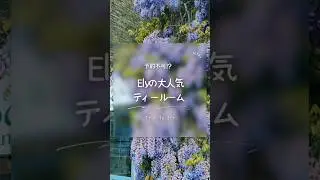 予約不可! Elyの大人気ティールーム