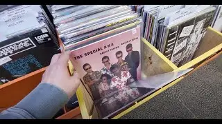 NEW ARRIVALS BINS - Record Collectors Paradise - May 9, 2025