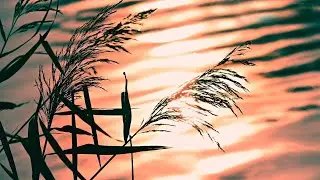 Day 10 &ndash; Sunrise Winter Calm 🌅 | Gentle Morning Ambience for Rest & Relaxation