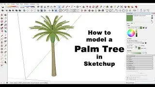 how to model a palm tree in sketchup