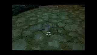Skyrim - Hunter Traps Mod