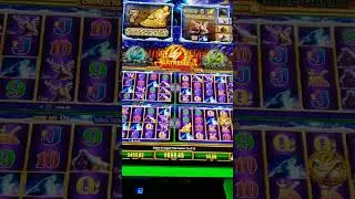 Big Win, Timberwolf Gold, Super Free Games on Wonder Tower #shorts #win #reels #casino #subscribe
