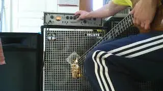 Swr Goliath with Ashdown Mag300 test