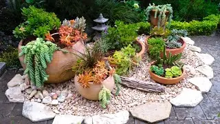 IDEE DE JARDIN EN POTS 🌴 GARDEN IDEA IN POTS