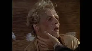 Starsky & Hutch- 