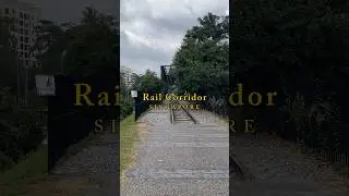 SG Explores: Rail Corridor